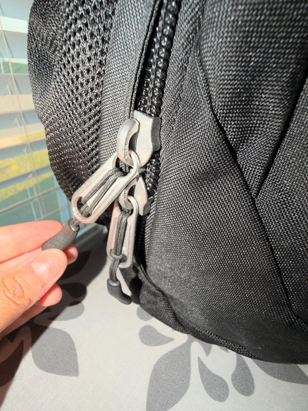The North Face brand north